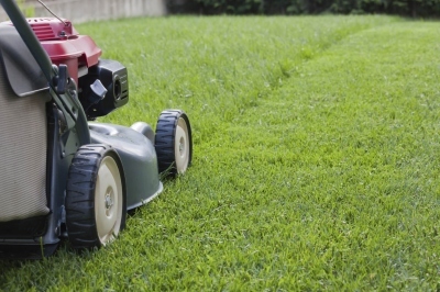 Lawn Cutting